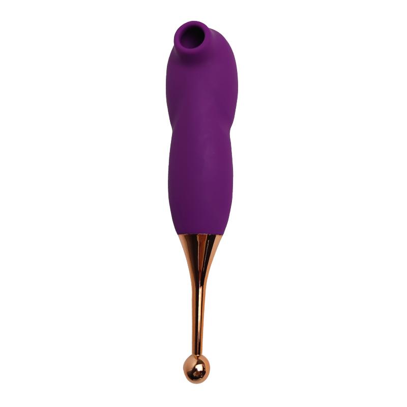GINYA Suction toy and Point vibrator CH05039 main image