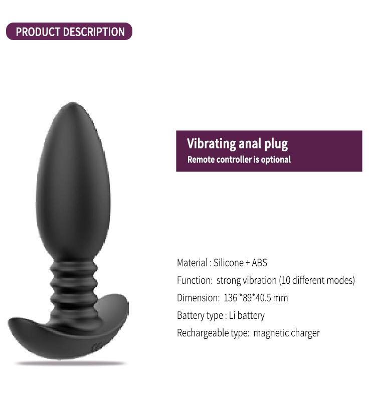 GINYA Rechargeable Vibrating Anal Plug CH09026 gallery image 2